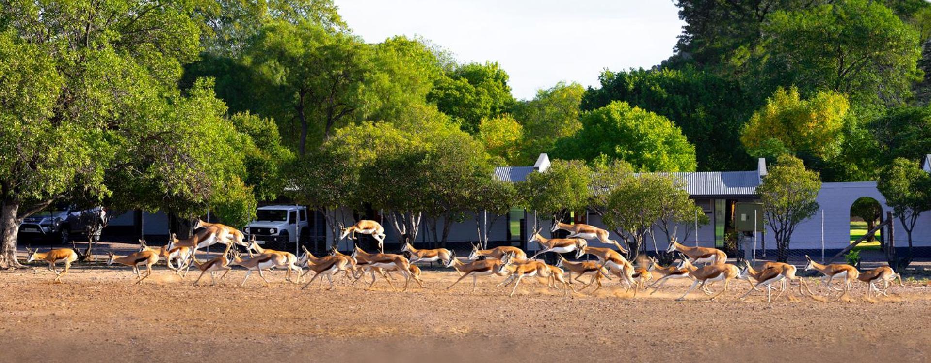 Merino Inn Hotel Colesberg Dış mekan fotoğraf
